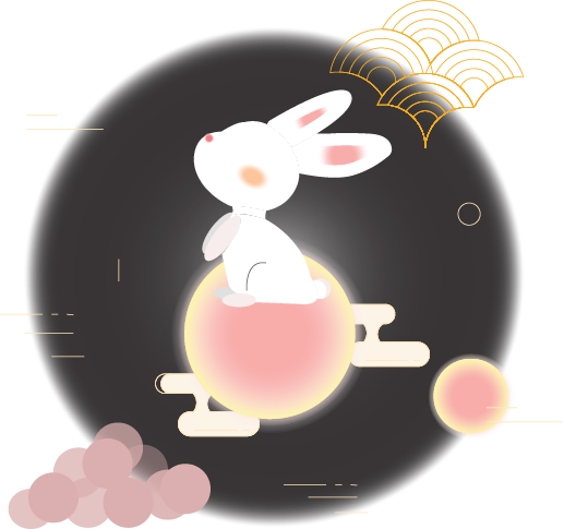 Image of A Bunny